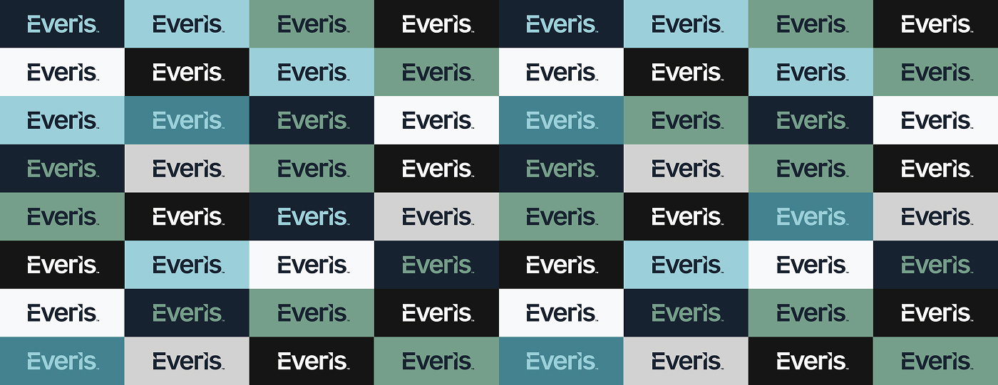 7-casestudies-everis-13